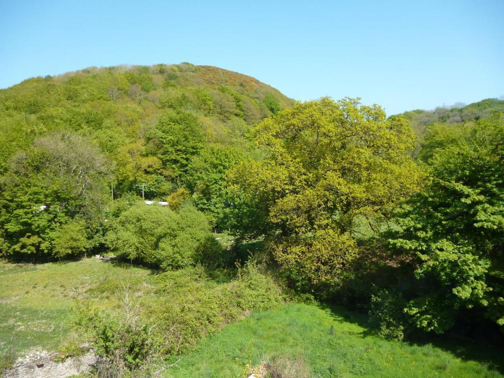 Score Valley Country House Ilfracombe Camera foto