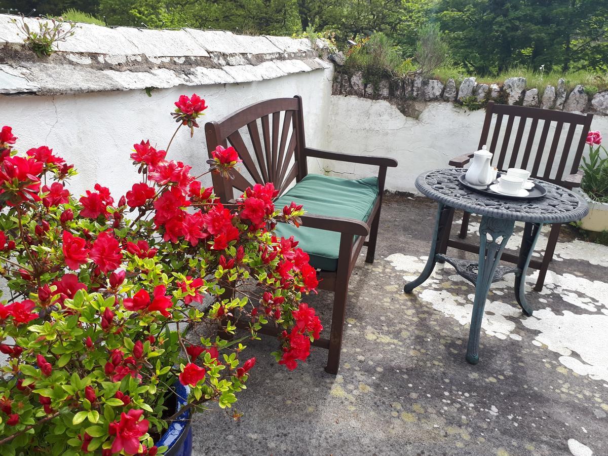Score Valley Country House Ilfracombe Esterno foto
