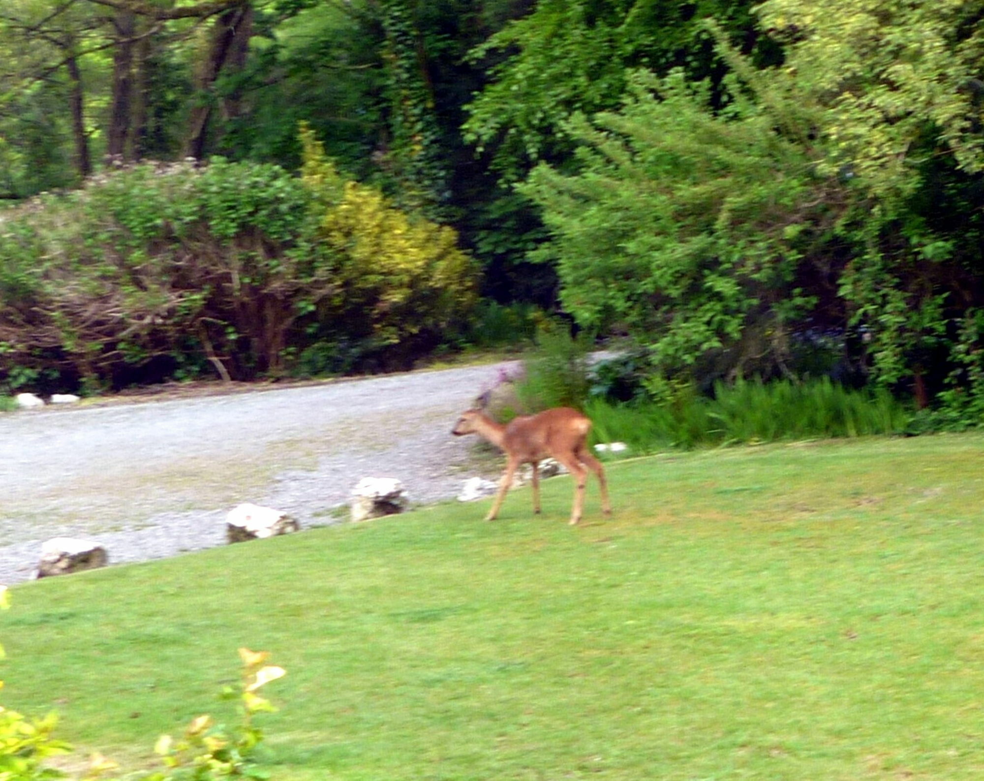 Score Valley Country House Ilfracombe Esterno foto