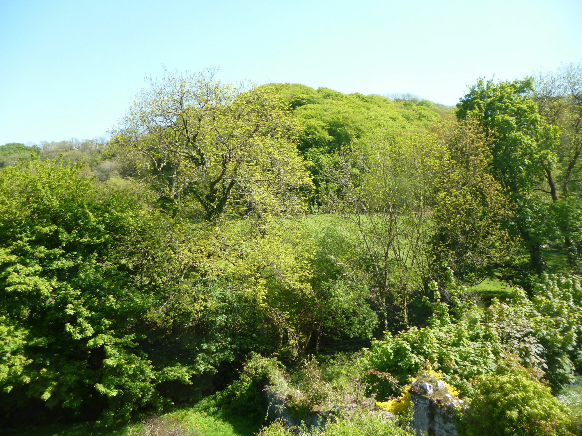 Score Valley Country House Ilfracombe Esterno foto