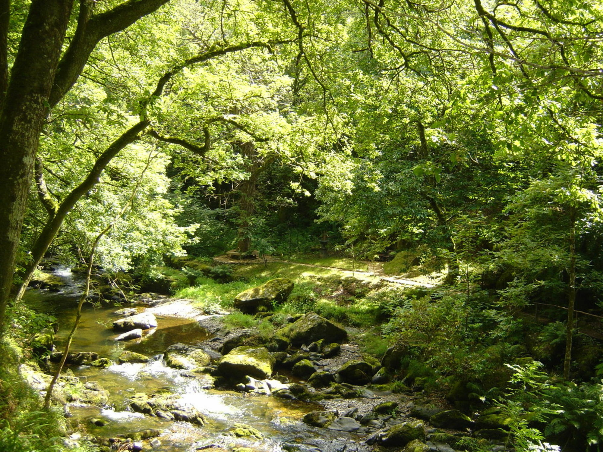 Score Valley Country House Ilfracombe Esterno foto